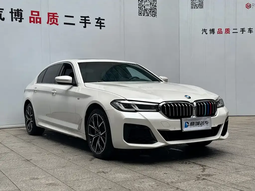 BMW 5 Series 2022 из CN, фото 7