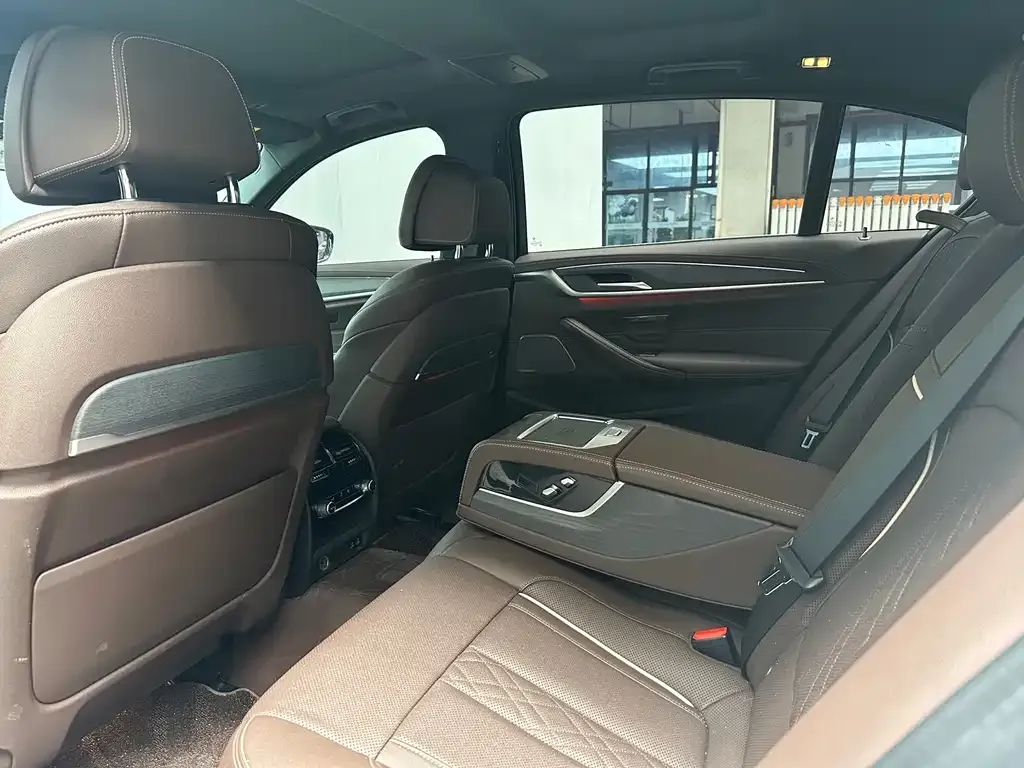 BMW 5 Series 2022 из CN, фото 4