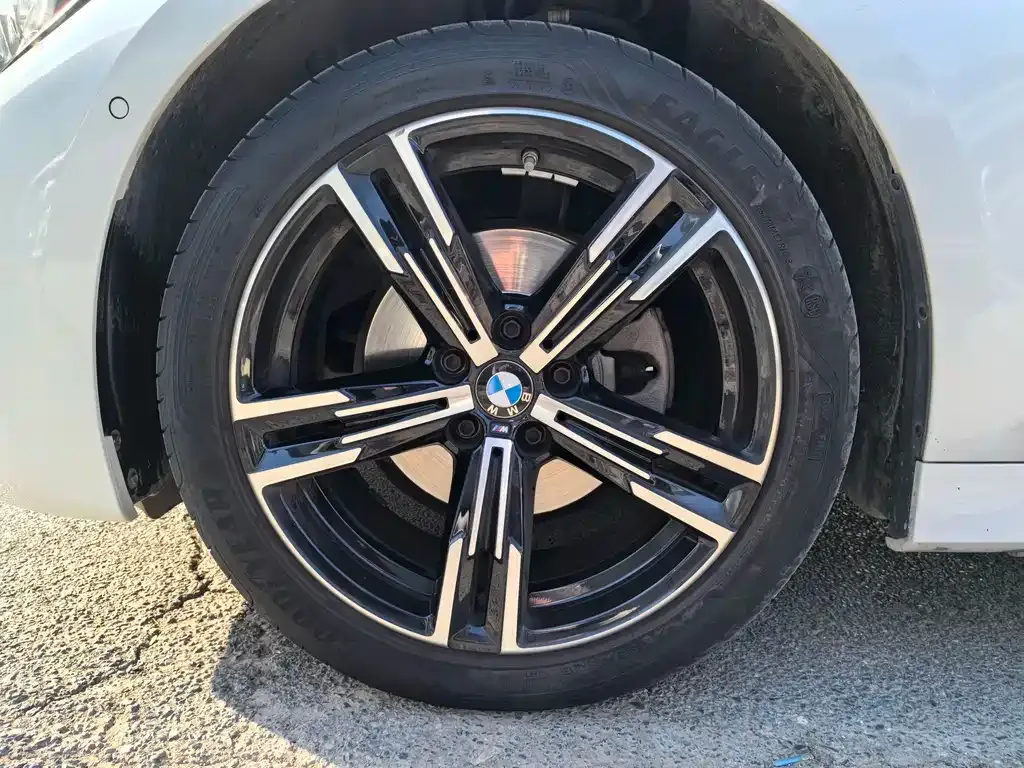 BMW 3 Series 2021 из CN, фото 5