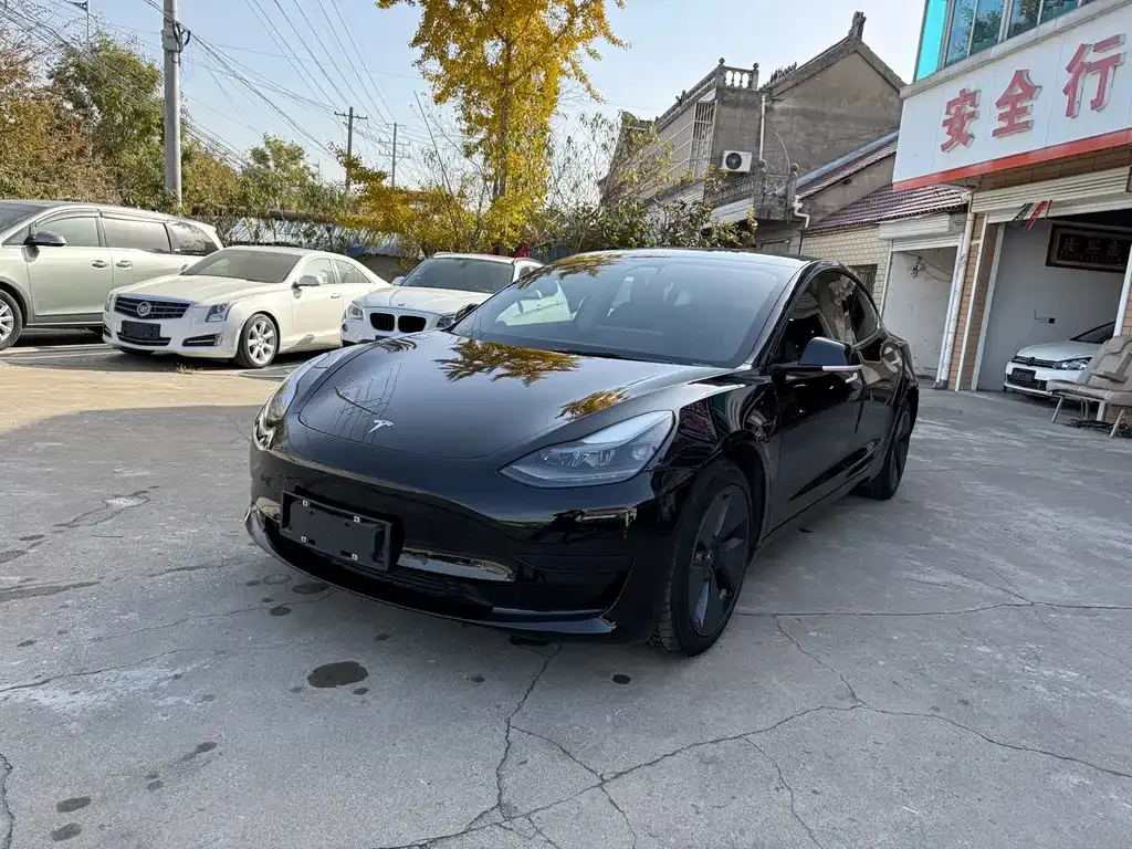 Tesla Model 3 2021 из CN, фото 1