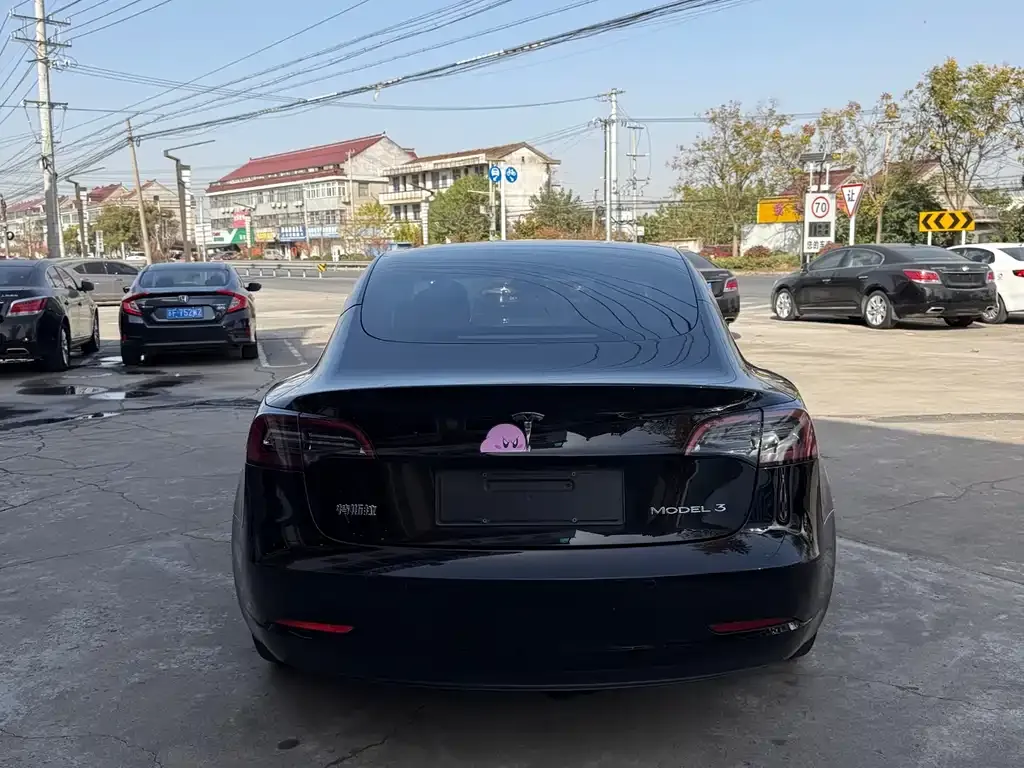 Tesla Model 3 2021 из CN, фото 10