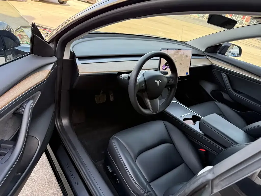 Tesla Model 3 2021 из CN, фото 3