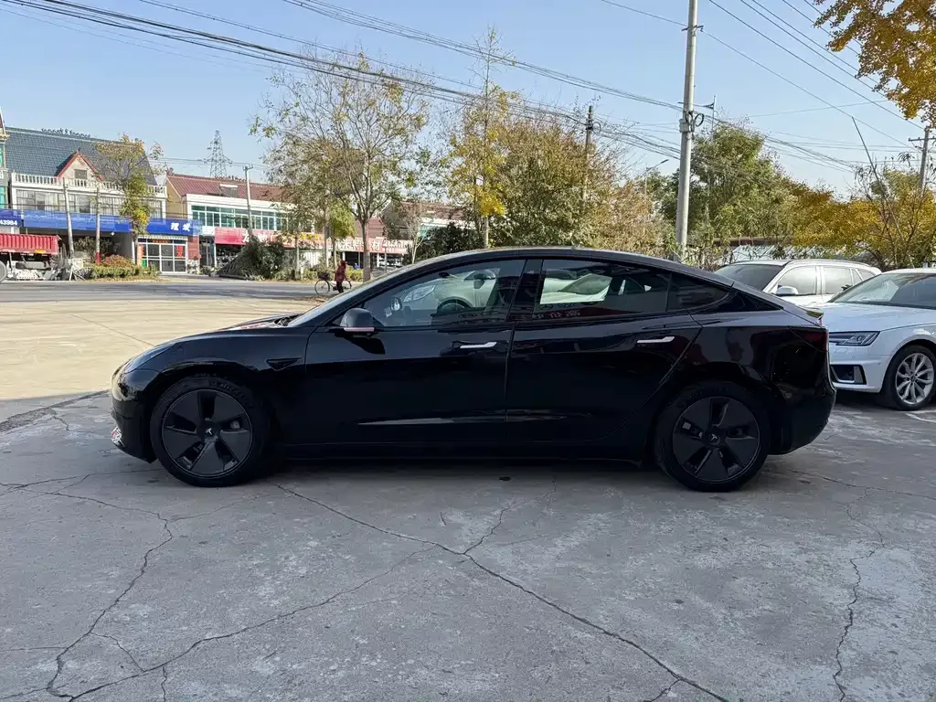 Tesla Model 3 2021 из CN, фото 6