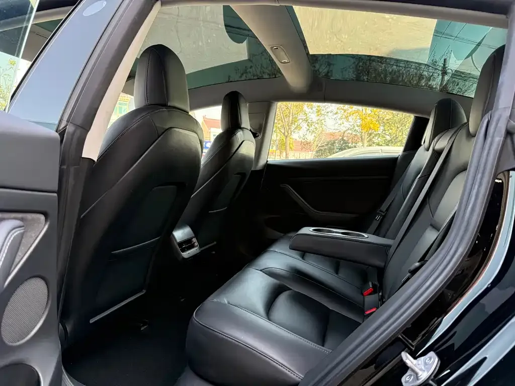 Tesla Model 3 2021 из CN, фото 8