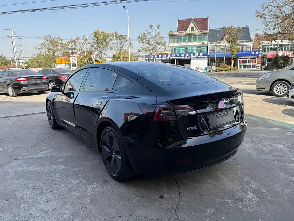Tesla Model 3 2021 из CN, фото 9