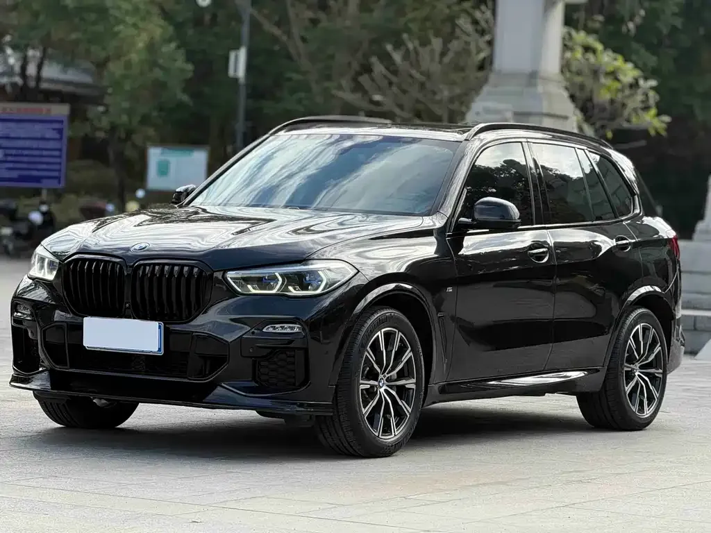 BMW X5 (Import) 2021 из CN, фото 1