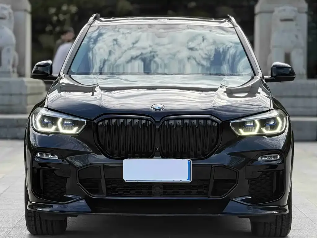 BMW X5 (Import) 2021 из CN, фото 9