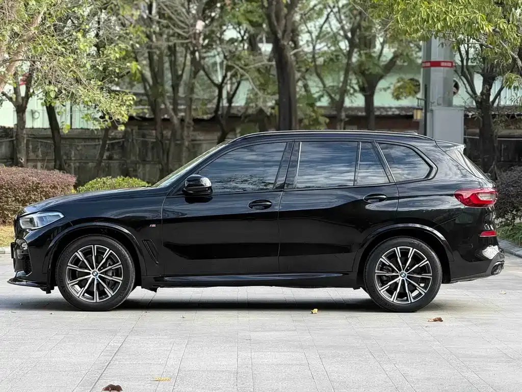 BMW X5 (Import) 2021 из CN, фото 5