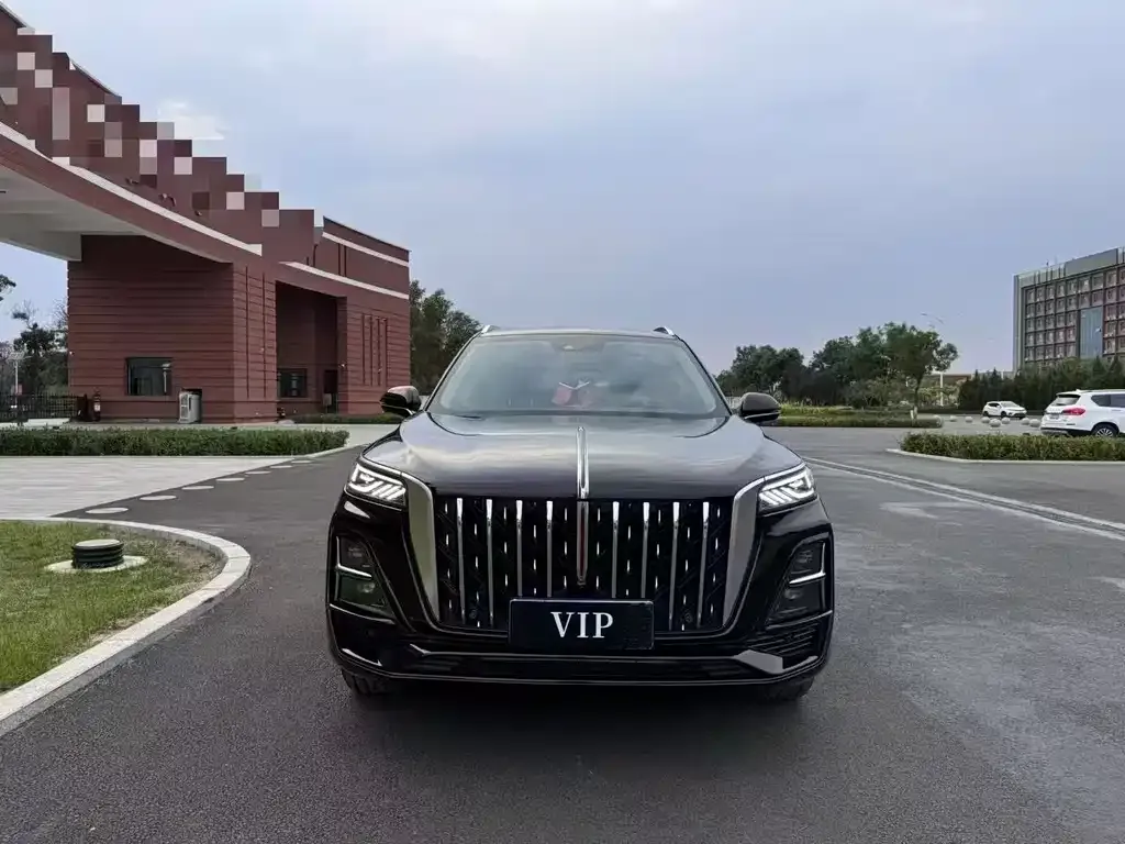 Hongqi HS5 2023 из CN, фото 4