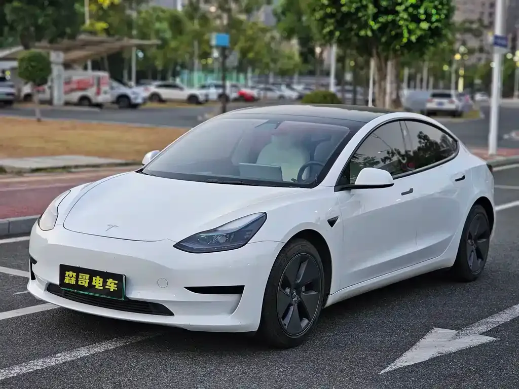 Tesla Model 3 2021 из CN, фото 1