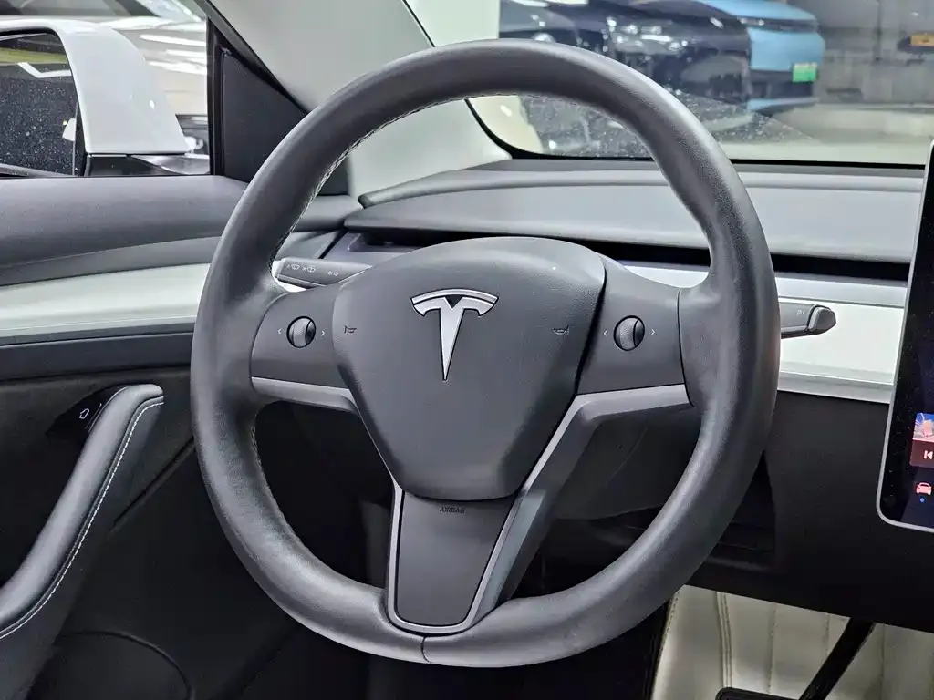 Tesla Model 3 2021 из CN, фото 3