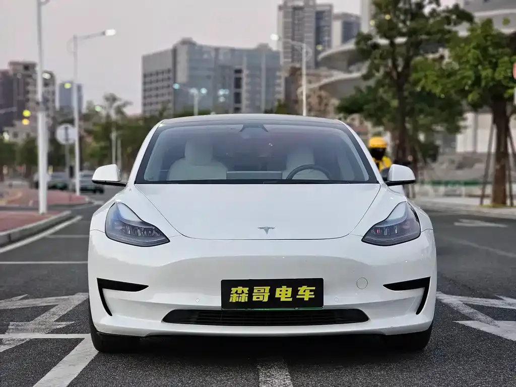 Tesla Model 3 2021 из CN, фото 8