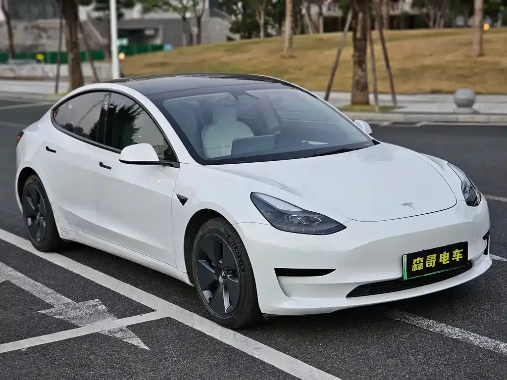 Tesla Model 3 2021 из CN, фото 9