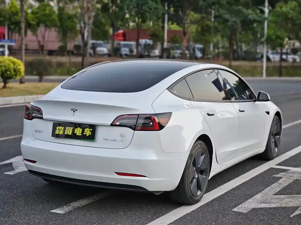 Tesla Model 3 2021 из CN, фото 5