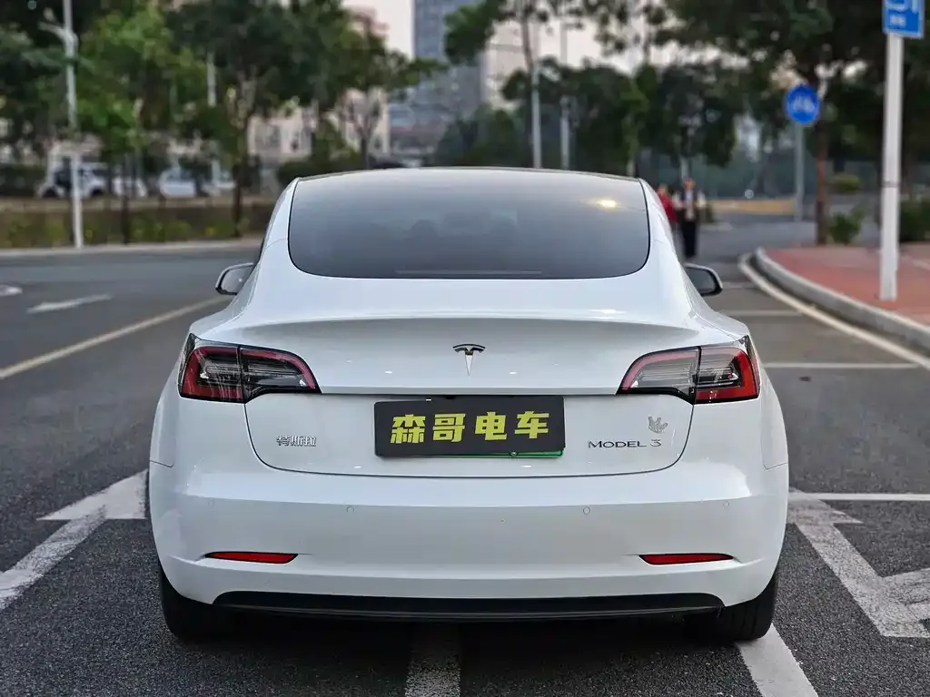 Tesla Model 3 2021 из CN, фото 6