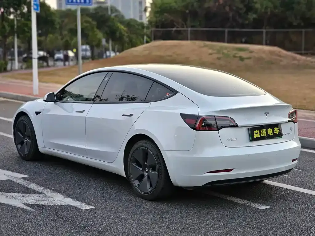 Tesla Model 3 2021 из CN, фото 10