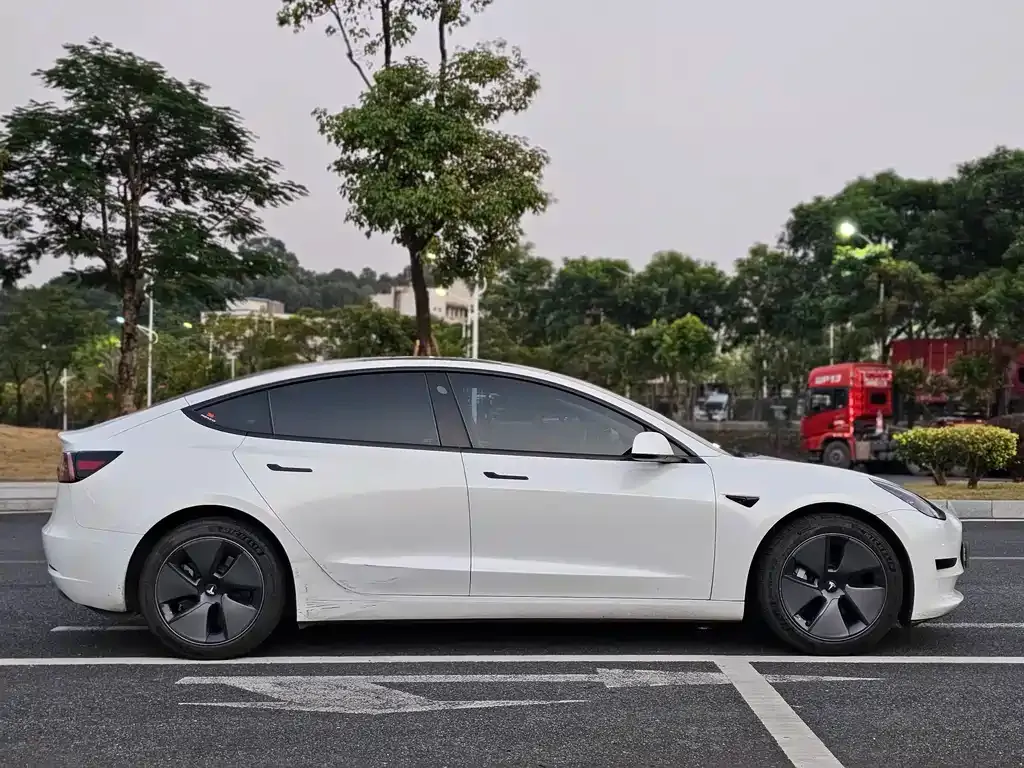 Tesla Model 3 2021 из CN, фото 7