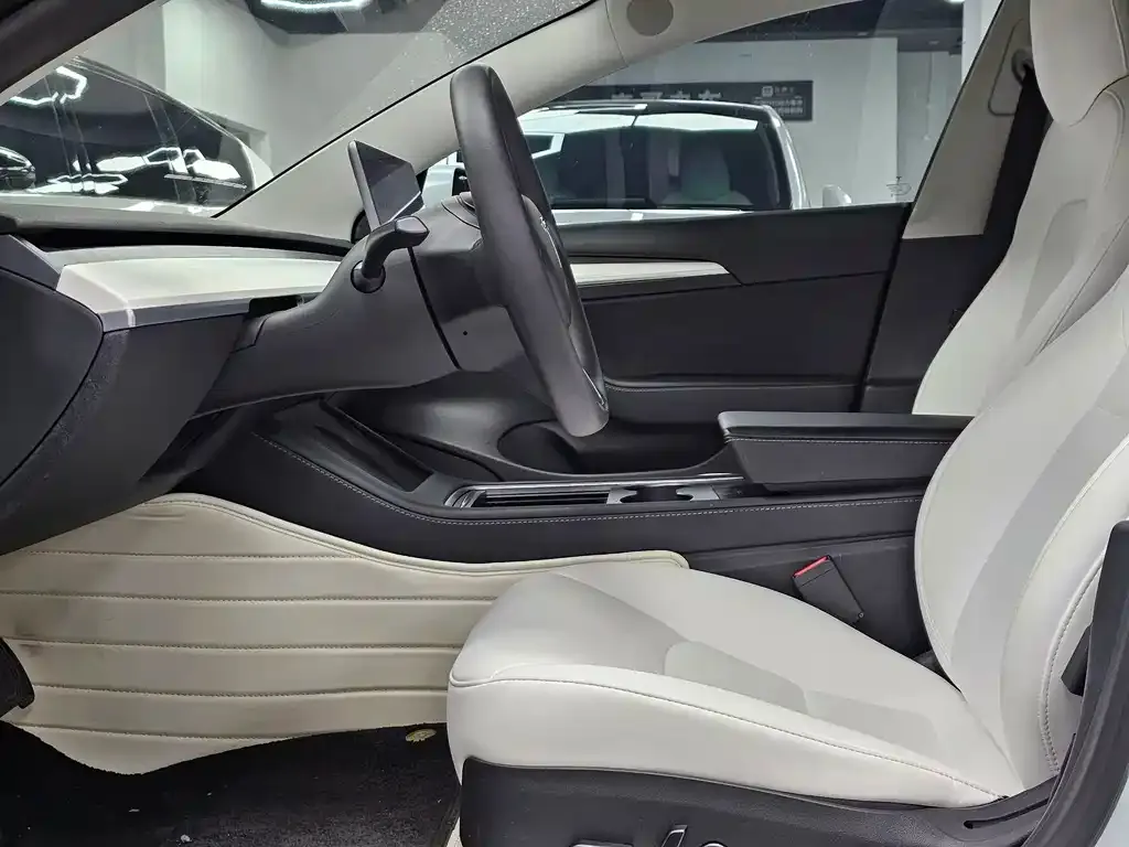 Tesla Model 3 2021 из CN, фото 2
