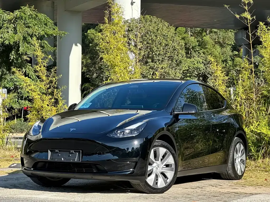 Tesla Model Y 2023 из CN, фото 1