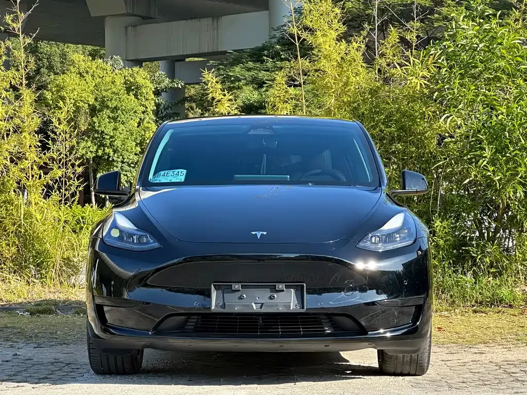 Tesla Model Y 2023 из CN, фото 2