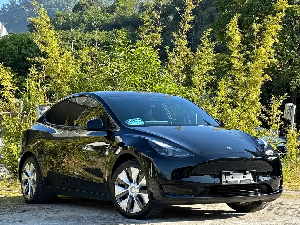 Tesla Model Y 2023 из CN, фото 3