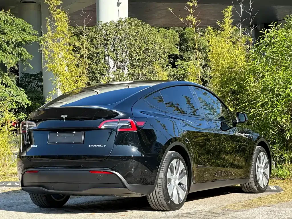 Tesla Model Y 2023 из CN, фото 6