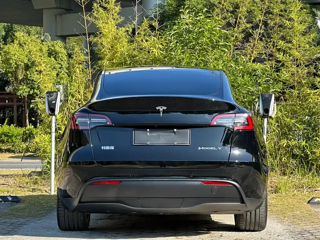 Tesla Model Y 2023 из CN, фото 7