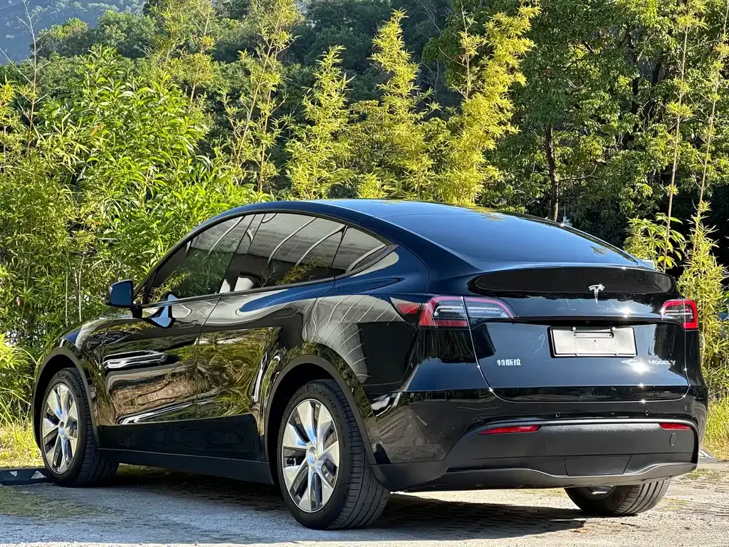Tesla Model Y 2023 из CN, фото 8