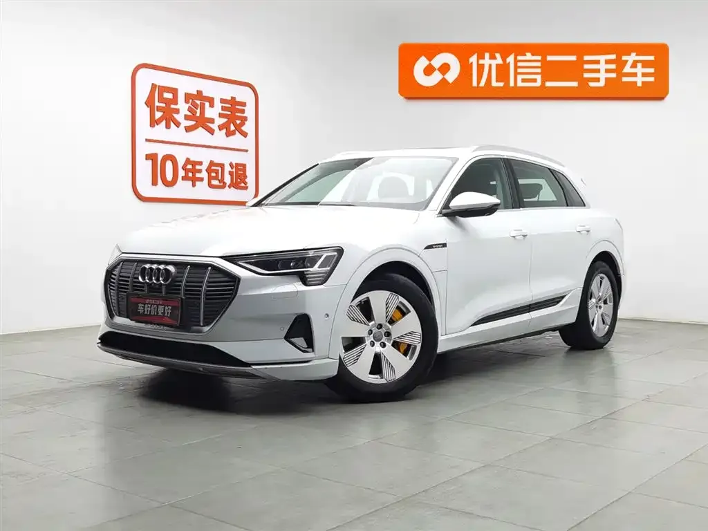 Audi e-tron (Import) 2021 из CN, фото 1