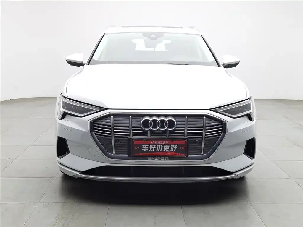 Audi e-tron (Import) 2021 из CN, фото 3