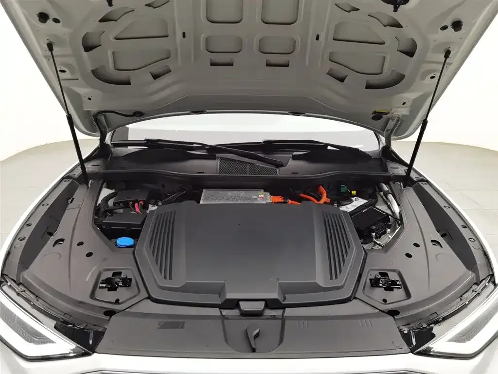 Audi e-tron (Import) 2021 из CN, фото 6