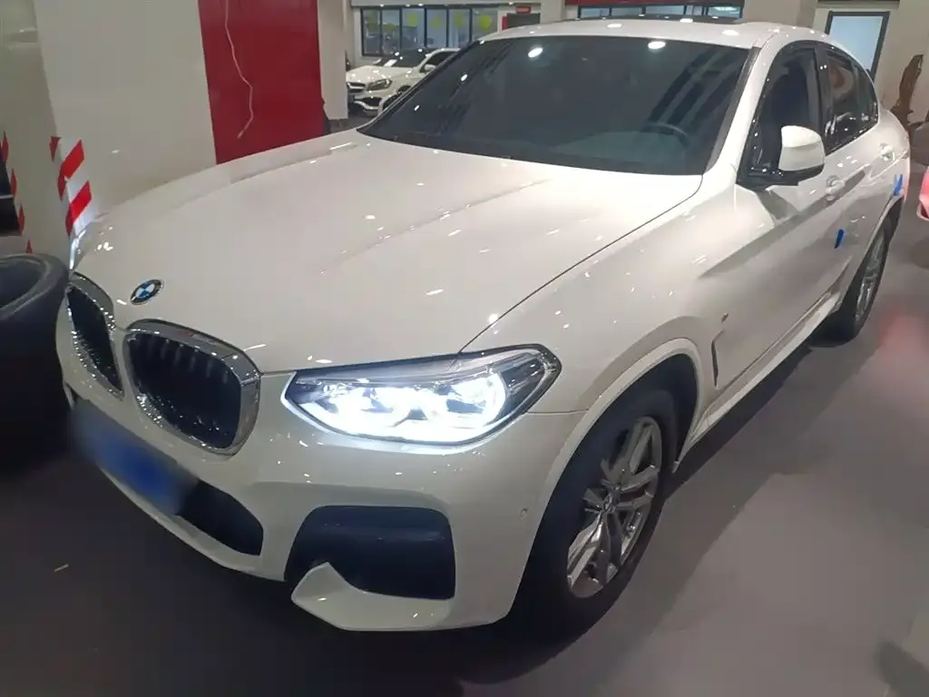 BMW X4 — фото 10