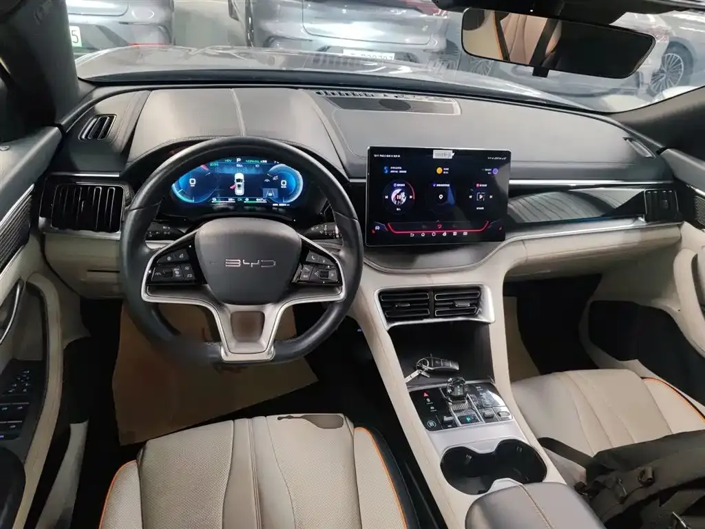 BYD PLUS New Energy 2024 из CN, фото 4