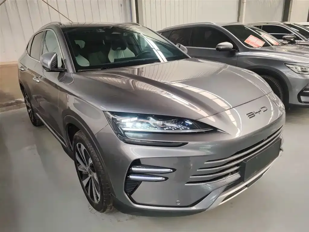 BYD PLUS New Energy 2024 из CN, фото 8