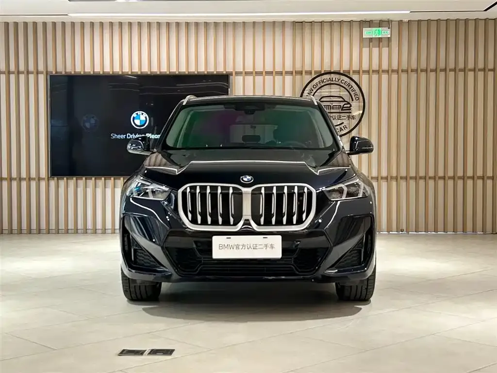 BMW X1 2025 из CN, фото 8