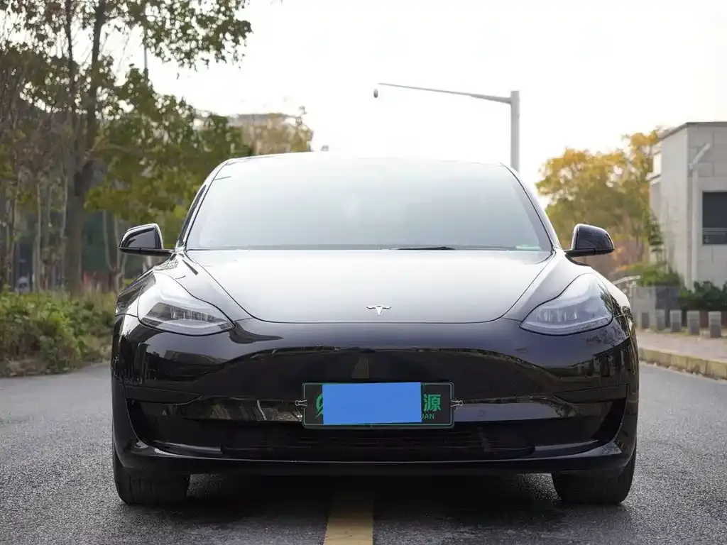 Tesla Model 3 2023 из CN, фото 4