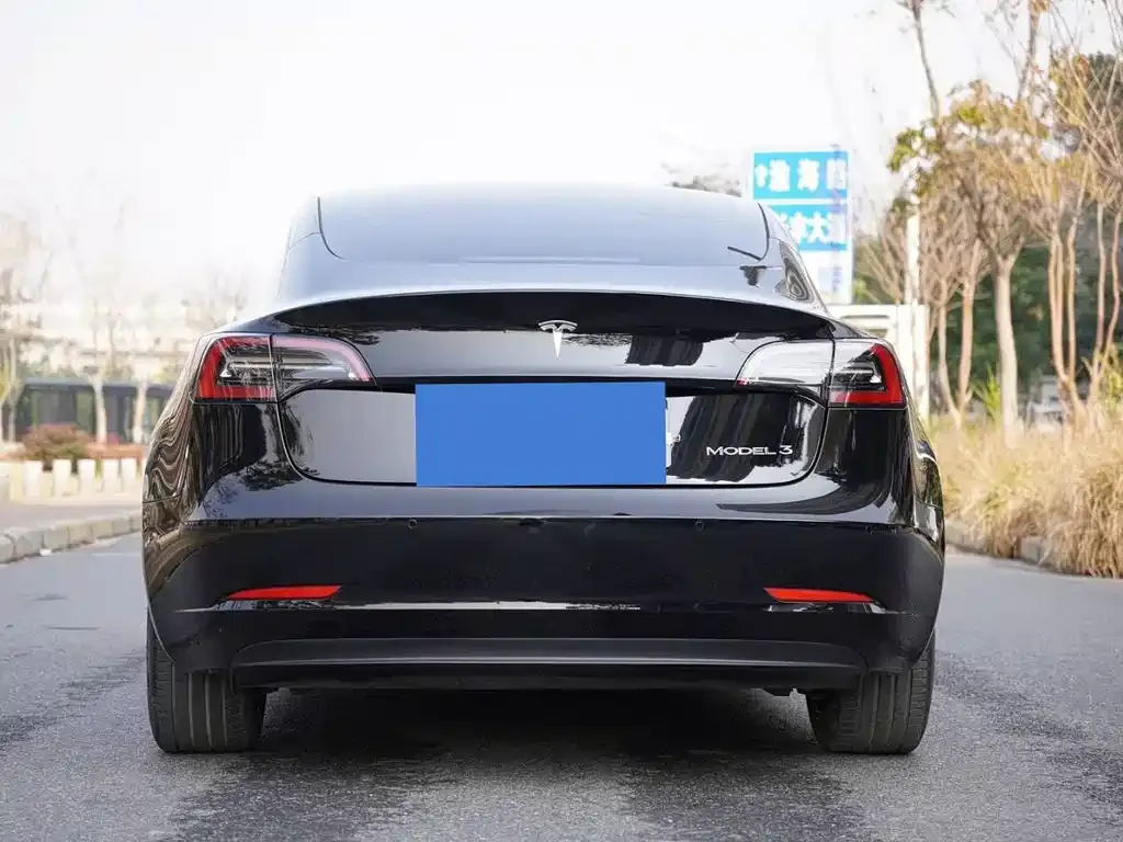Tesla Model 3 2023 из CN, фото 3