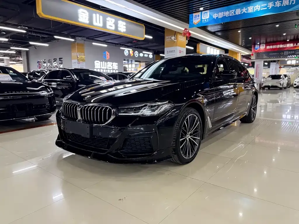 BMW 5 Series 2021 из CN, фото 1