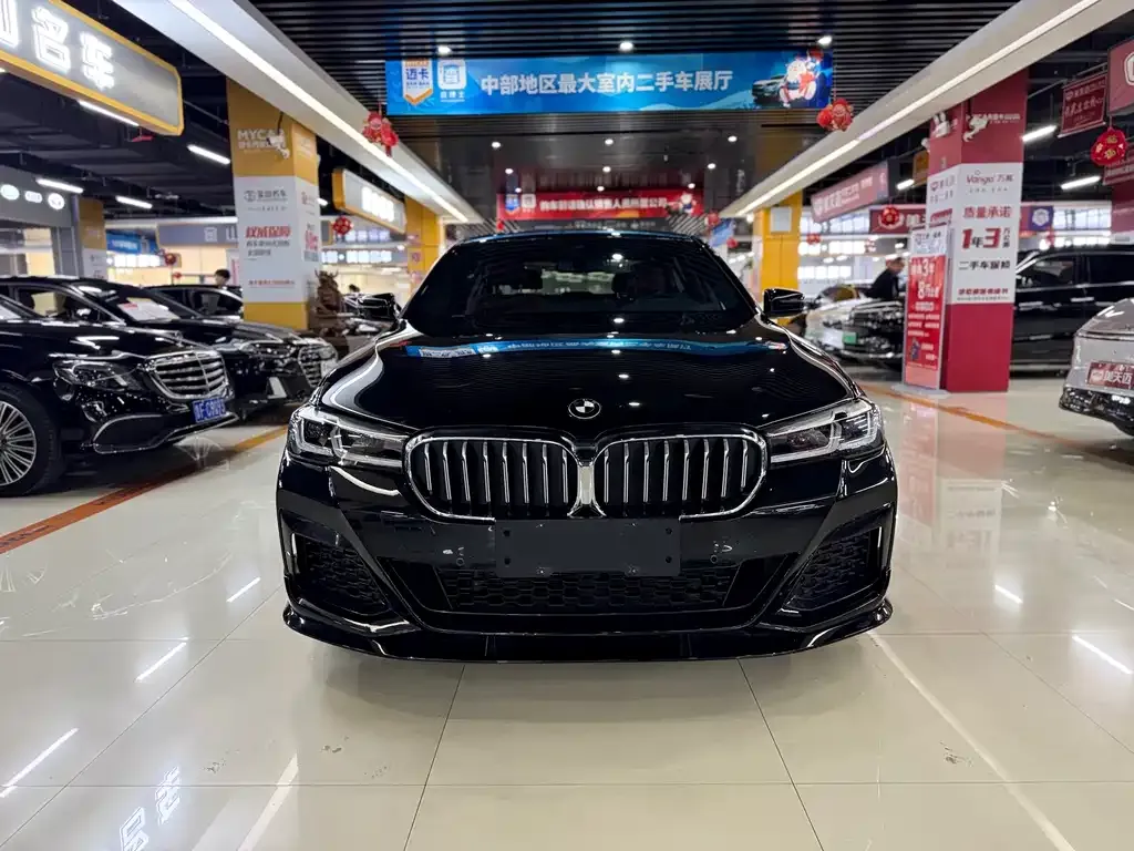 BMW 5 Series 2021 из CN, фото 8