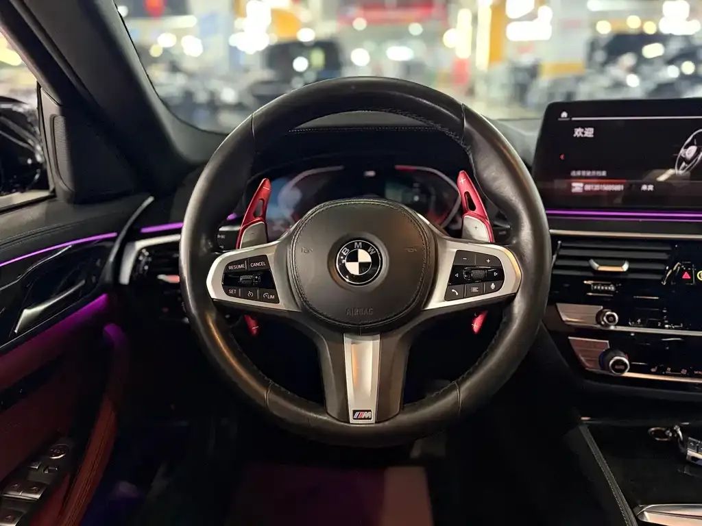 BMW 5 Series 2021 из CN, фото 7