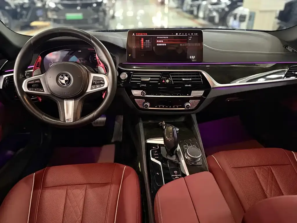 BMW 5 Series 2021 из CN, фото 3