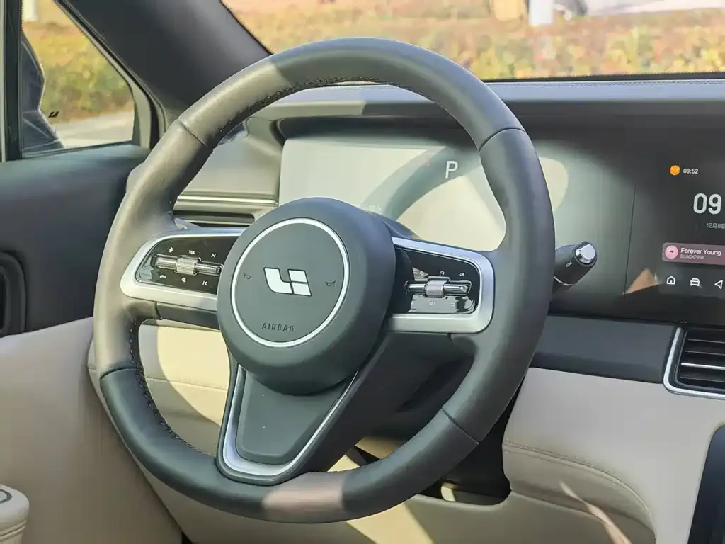 Li Auto ONE 2021 из CN, фото 7