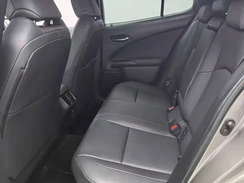 Lexus UX 2021 из CN, фото 10