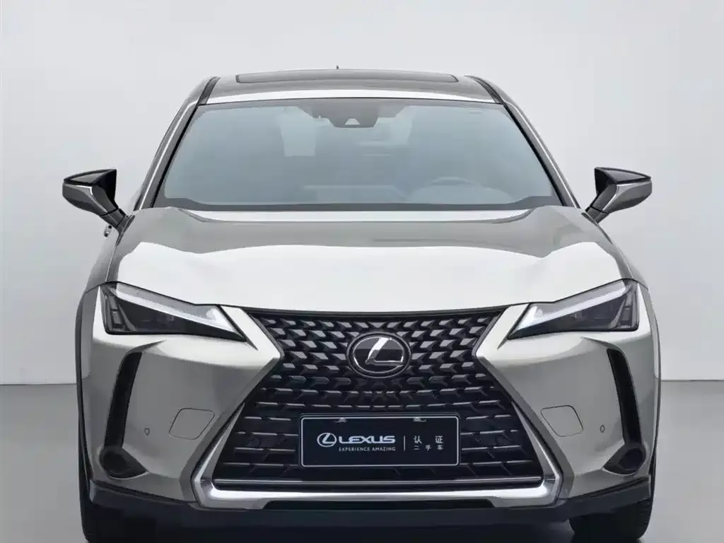 Lexus UX 2021 из CN, фото 8