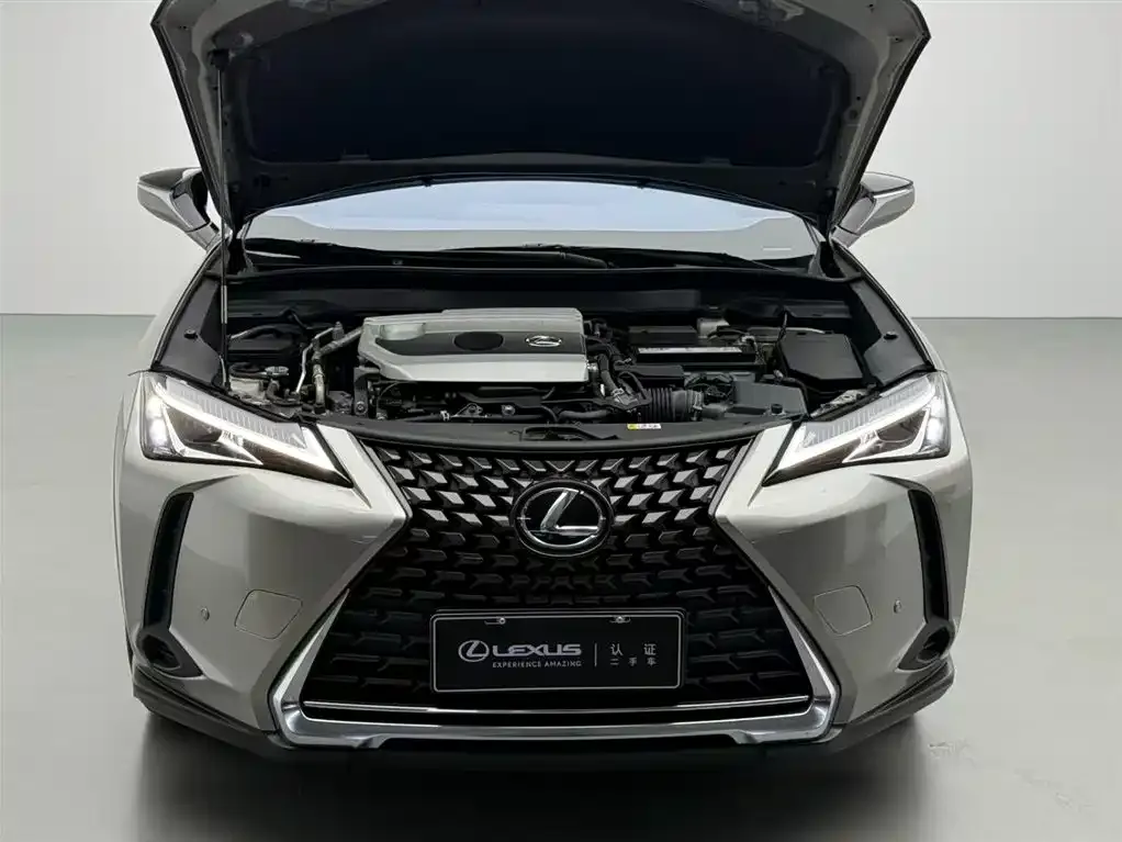 Lexus UX 2021 из CN, фото 4