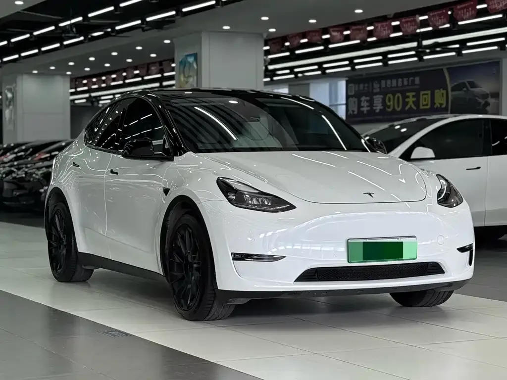 Tesla Model Y — фото 1