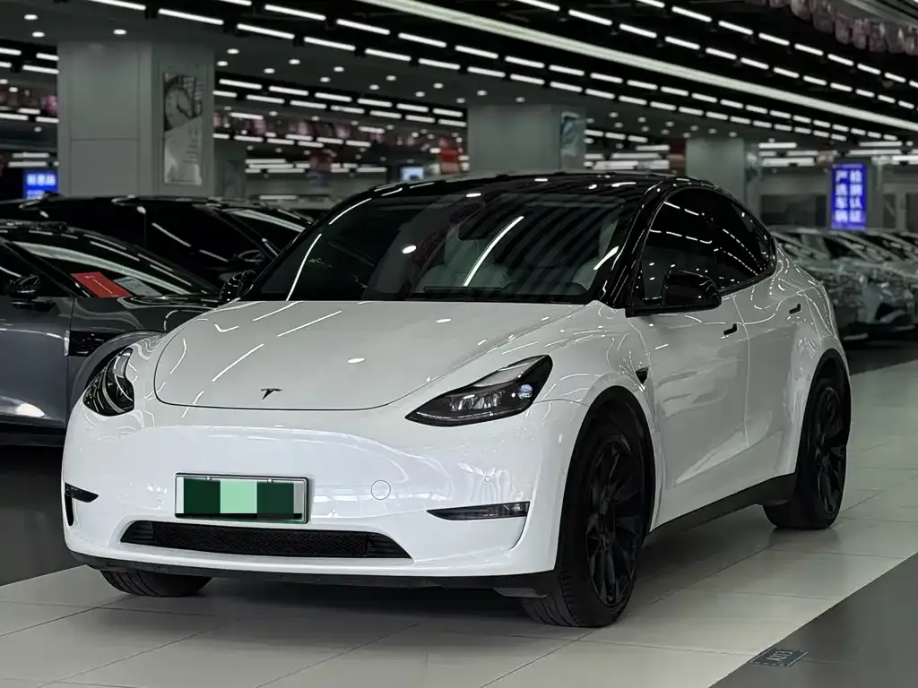Tesla Model Y — фото 6