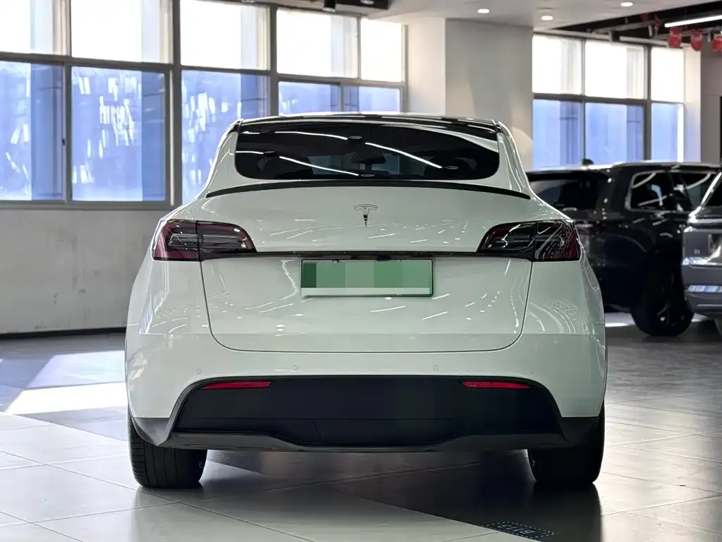 Tesla Model Y — фото 5