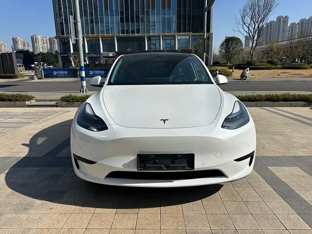 Tesla Model Y 2023 из CN, фото 1