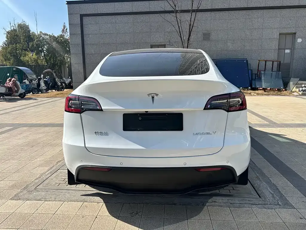 Tesla Model Y 2023 из CN, фото 9